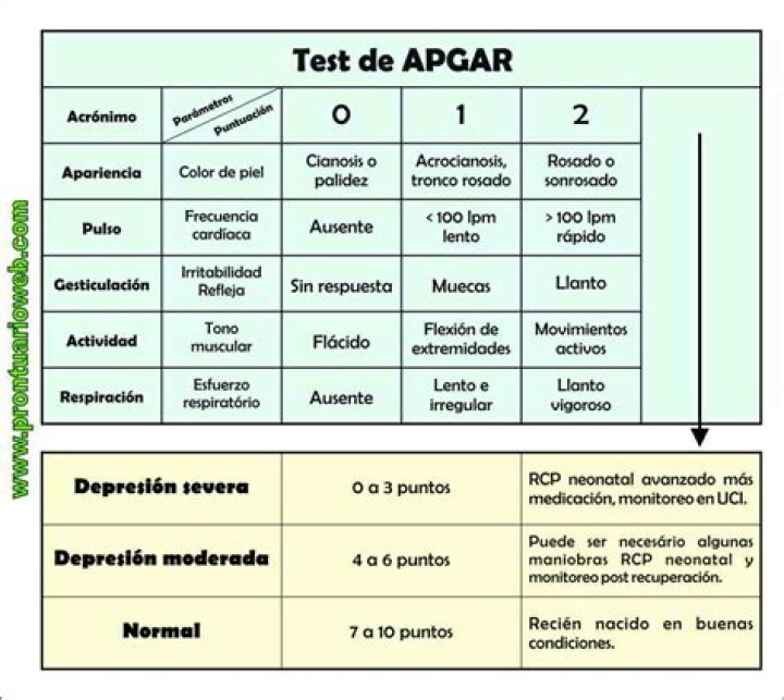 Test de Apgar PDF: Essential Newborn Screening Guide