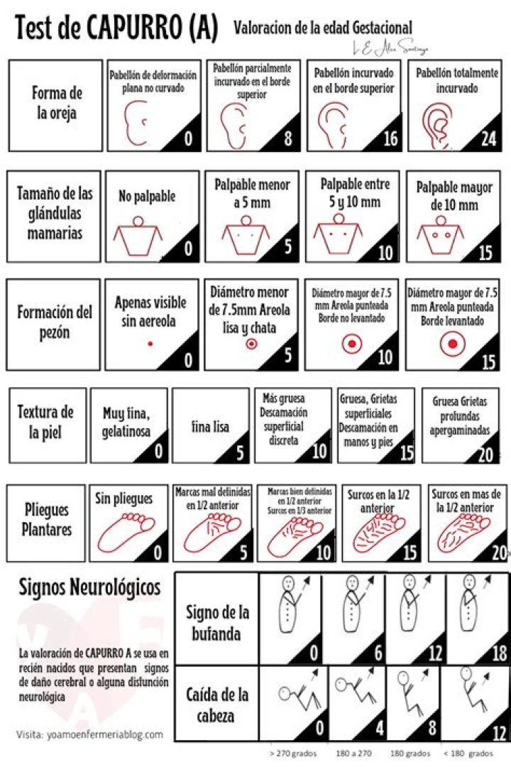 Cómo Realizar el Test de Capurro en PDF: Guía Completa