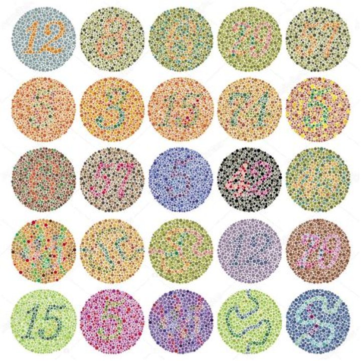 Test de Ishihara 24 Láminas PDF – Avaliação de Visão Colorida