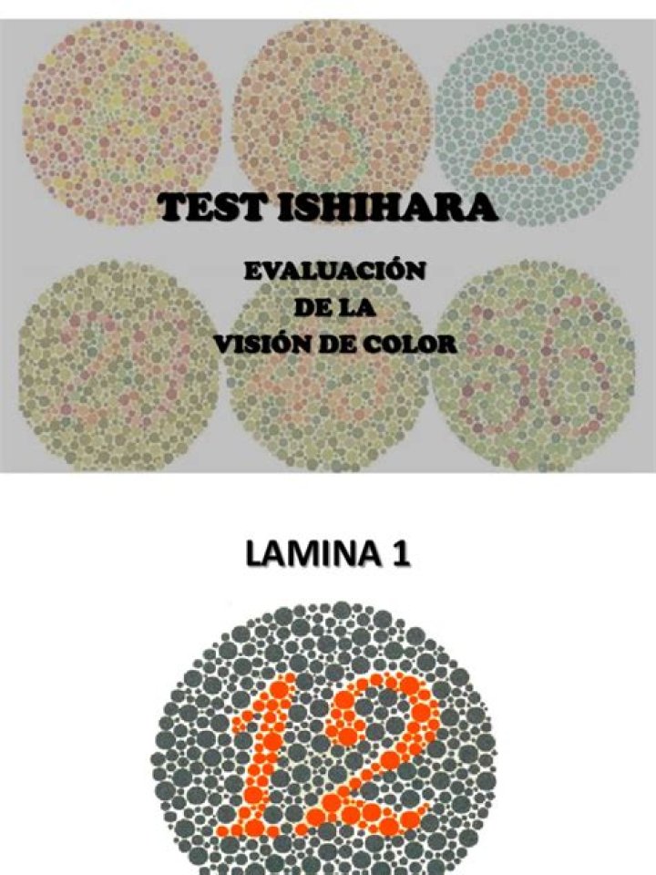 Test de Ishihara Completo PDF: Guía Definitiva para Identificar Dislexia del Color