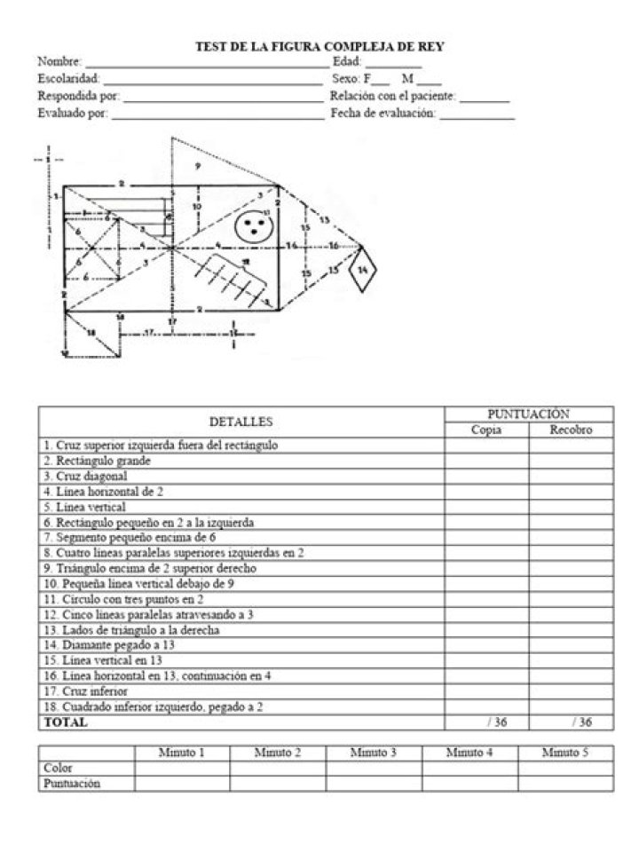 Test Figura Compleja de Rey en PDF: Análisis y Soluciones