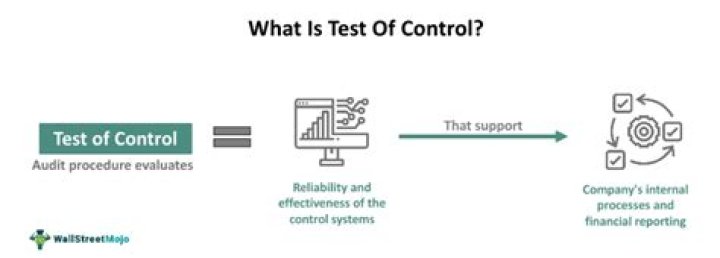 Mastering Test of Controls in Auditing: Essential PDF Guide
