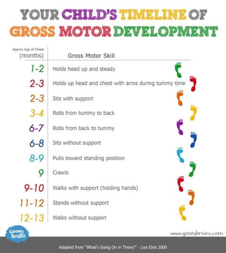 Test of Gross Motor Development-3 PDF: Essential Clinical Screening Tool
