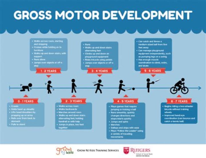 Test of Gross Motor Development PDF: Essential Guide & Assessment Tools