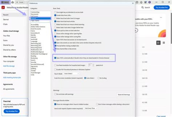 Test PDF File in Browser: Instant View Without Download