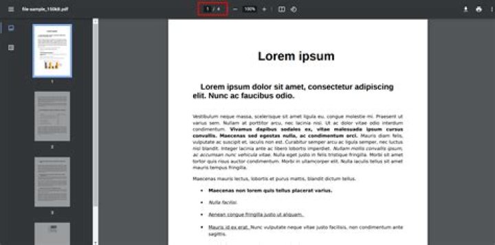 Test PDF with Images: Download Free Sample File