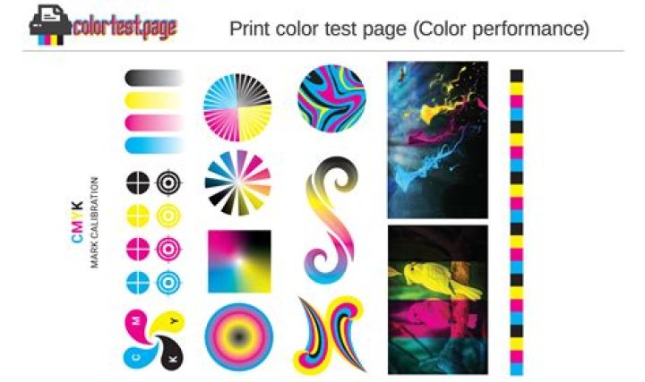 How to Test to PDF: Easy Conversion Tips