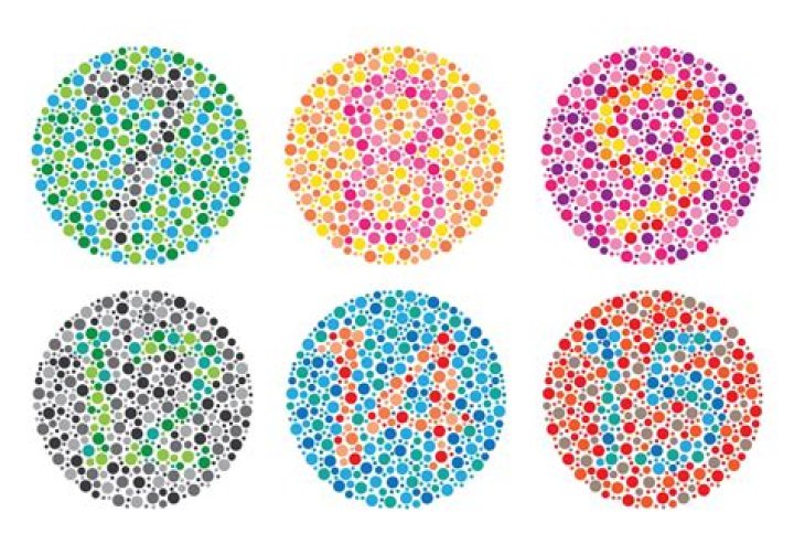 Teste de Ishihara 24 Pranchas PDF: Diagnóstico Rápido de Daltonismo
