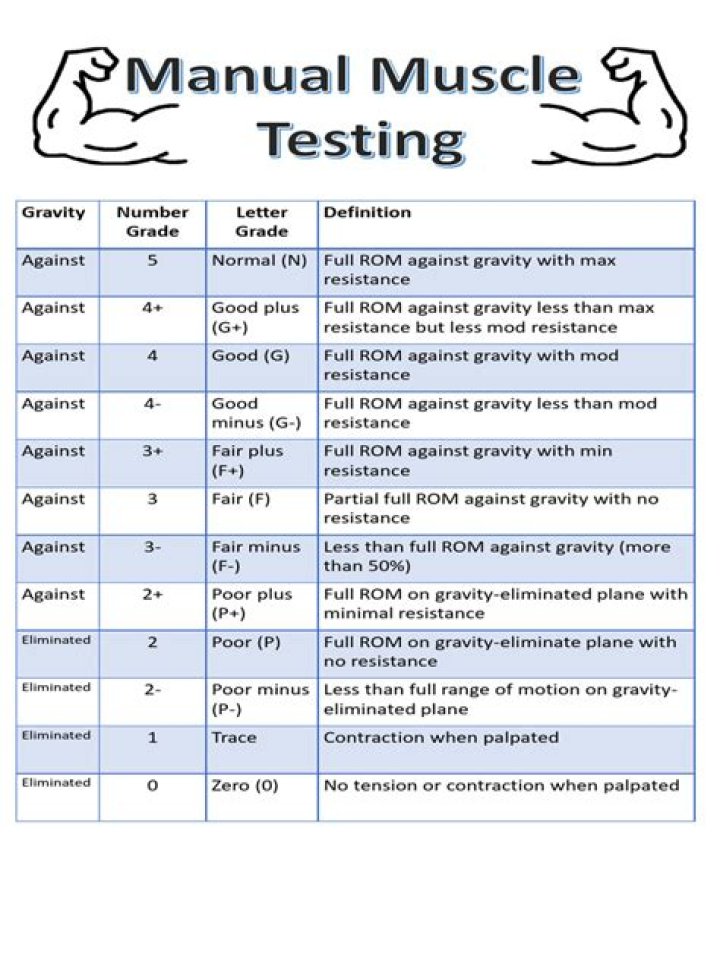 Testing for Beginners PDF: Easy Start Guide