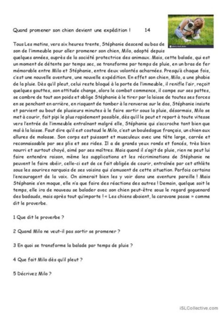 Texte en Français avec Questions PDF Gratuit – Télécharger et Répondre
