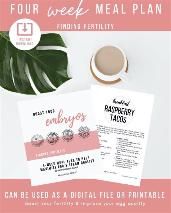 14-Day Fertility Meal Plan Free PDF: Boost Fertility Naturally