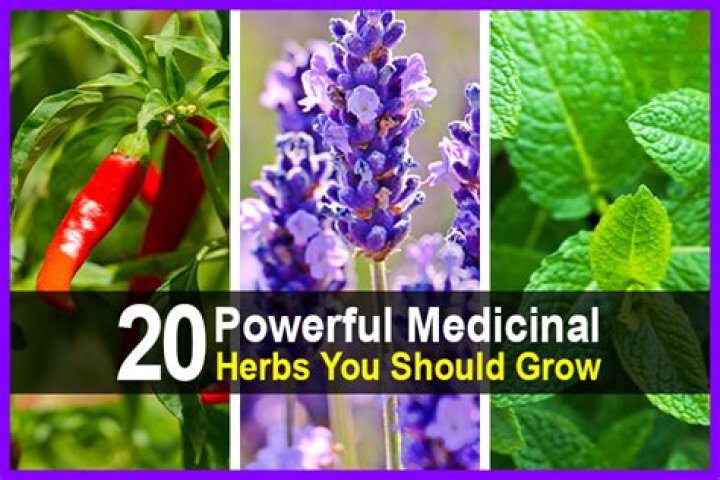 The 7 Most Powerful Herbs and Spices Ginger benefits, Cloves benefits