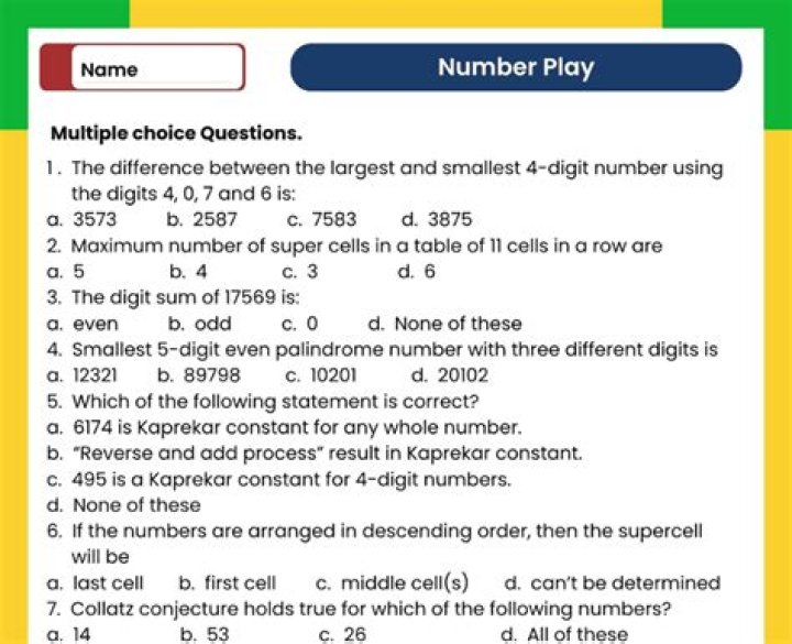 The Bear Play: Questions & Answers PDF Guide