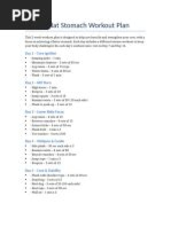 The Best Damn Workout Plan for Natural Lifters – PDF Guide