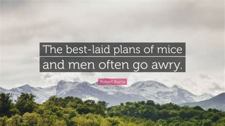 The Best-Laid Plans of Mice and Men: Full Poem PDF