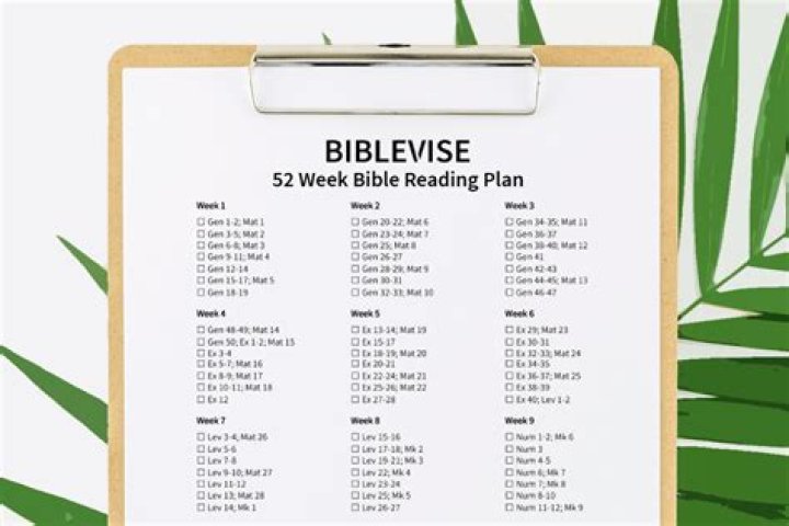 Complete Bible Study Plan PDF – Step-by-Step Growth Guide