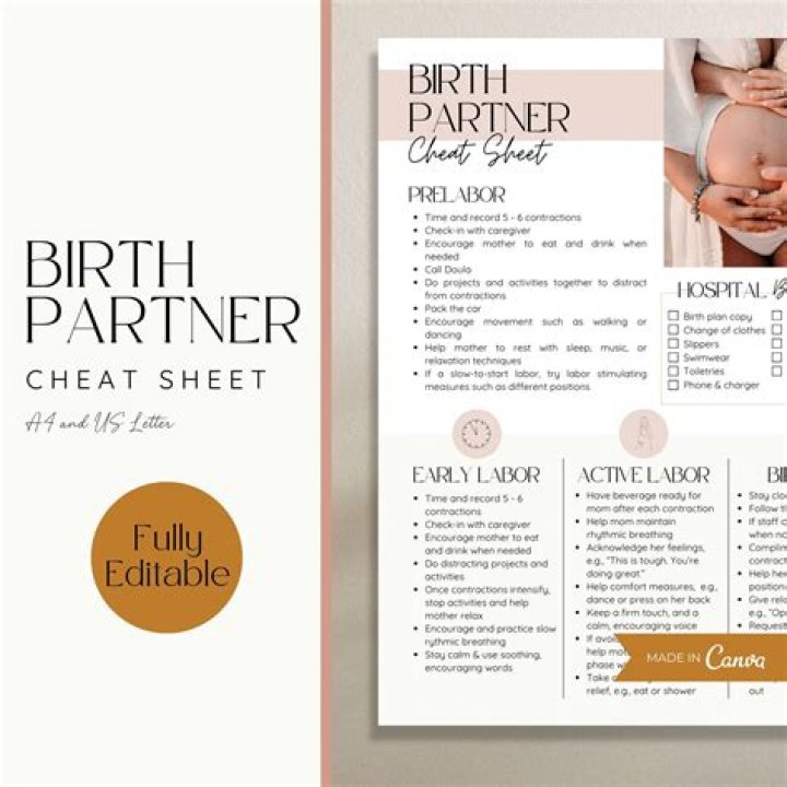 The Birth Partner Cheat Sheet PDF: Essential Tips for Labor & Delivery