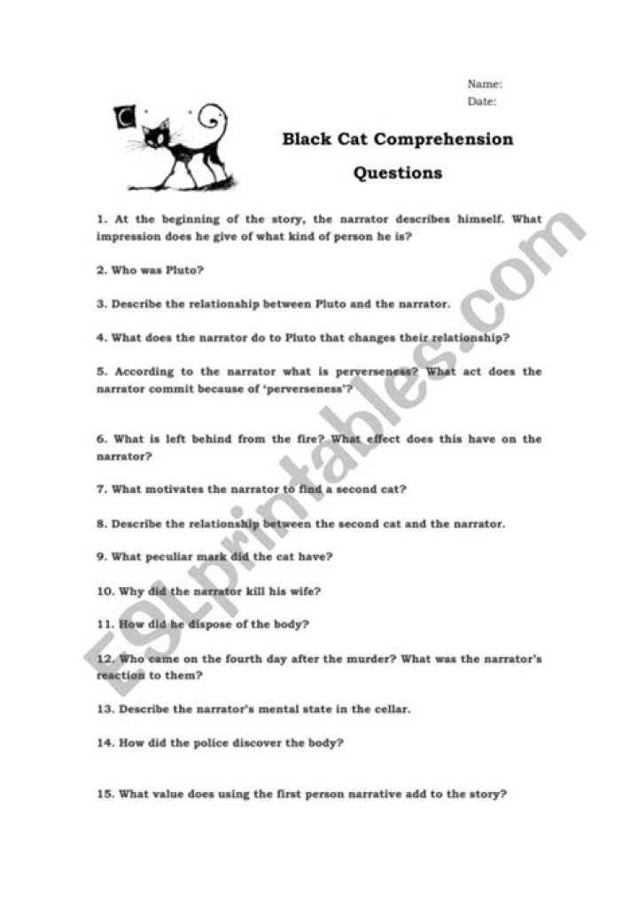 The Black Cat: Answers to Common Questions PDF