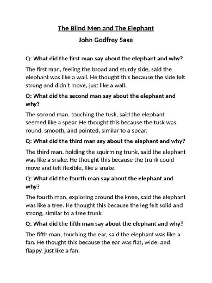 Blind Man and the Elephant: Insightful Questions and Answers PDF