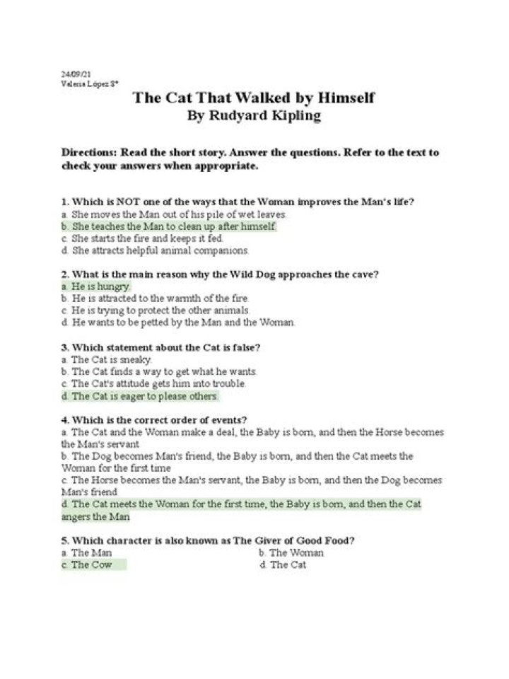 The Cat That Walked Away: Unforgettable Answers in a PDF