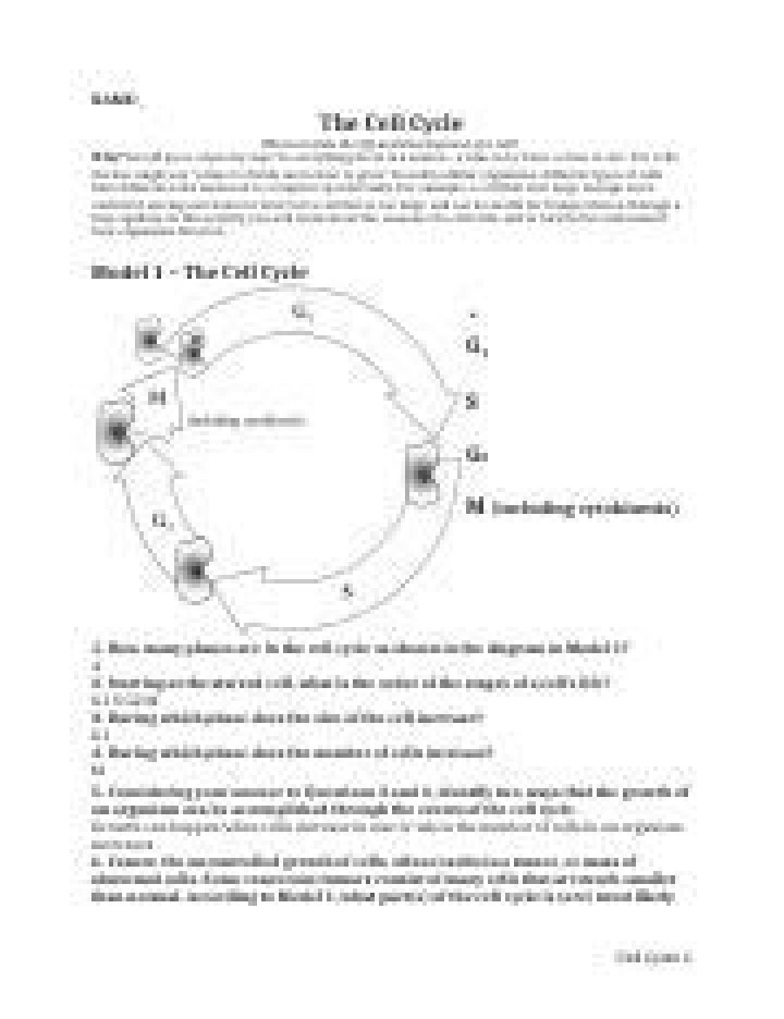 Pogil Answers for The Cell Cycle: Easy PDF Guide