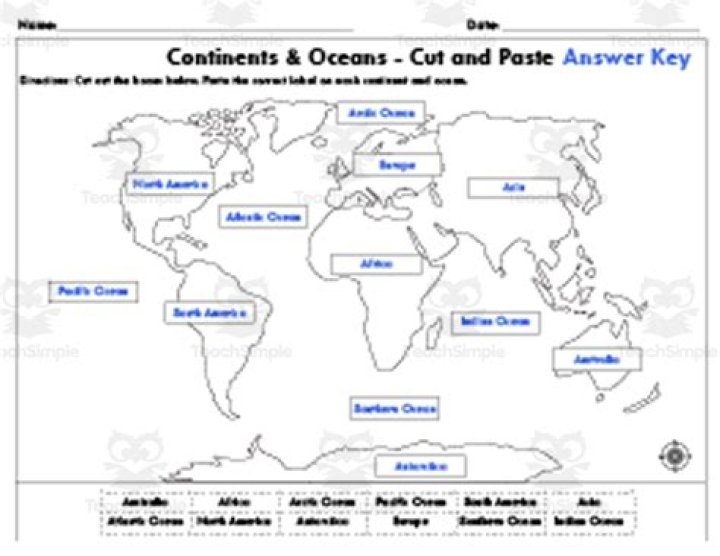 The Dangers of Ocean Trash: Answer Key PDF with Crucial Facts