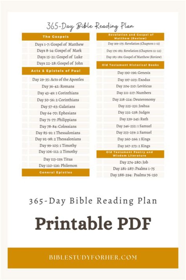 The Daniel Plan 365 Day Devotional PDF – Daily Spiritual Growth