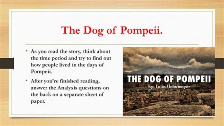 The Dog of Pompeii: Test PDF Examining Ancient Canine Life