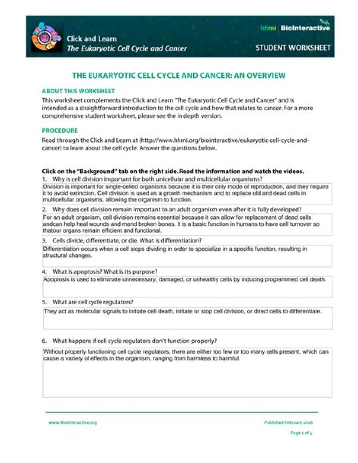 Eukaryotic Cell Cycle and Cancer: Answer Key PDF
