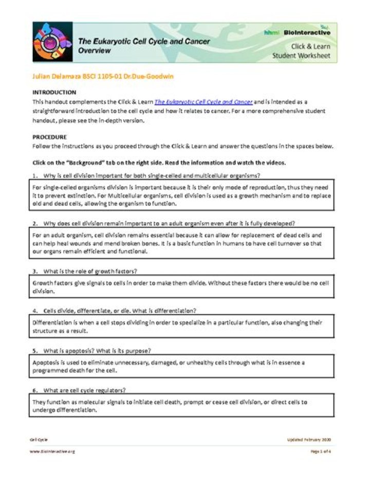 Eukaryotic Cell Cycle & Cancer: Answers in One PDF