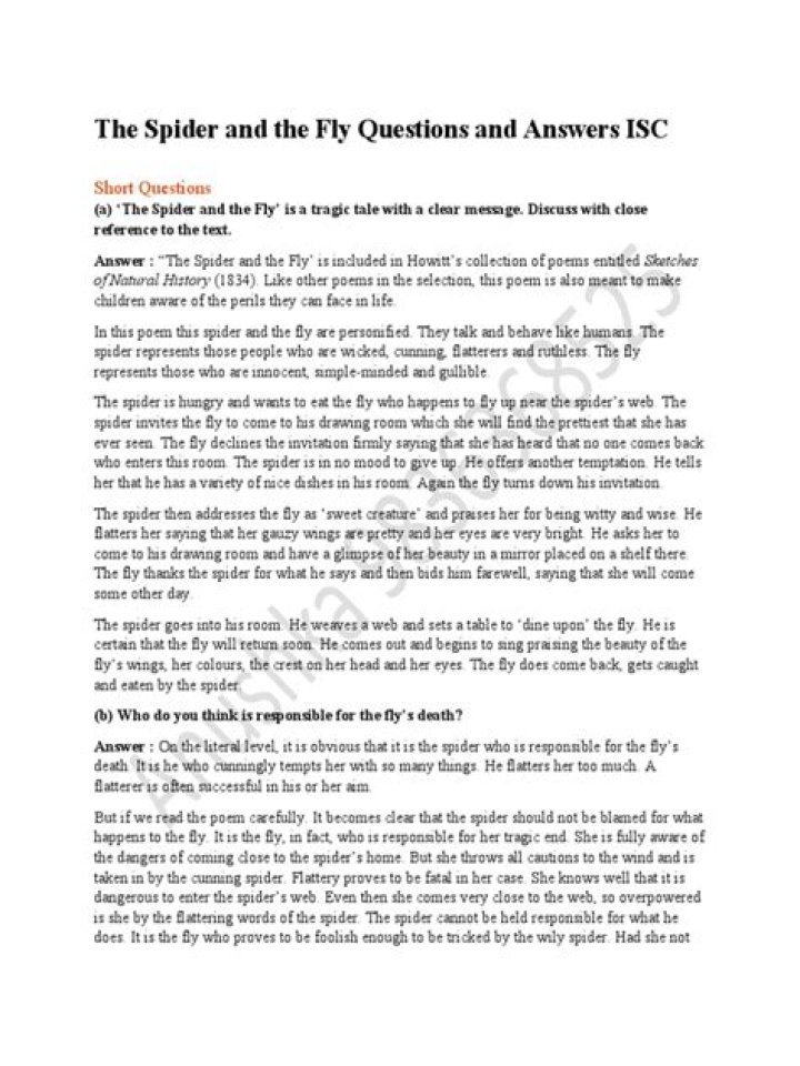 The Fly: Common Questions & Answers PDF