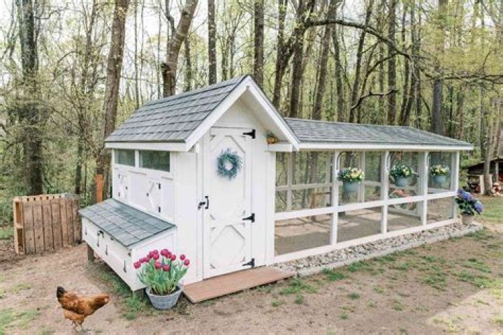 Free Garden Coop Plans PDF: Build Your Perfect Outdoor Storage