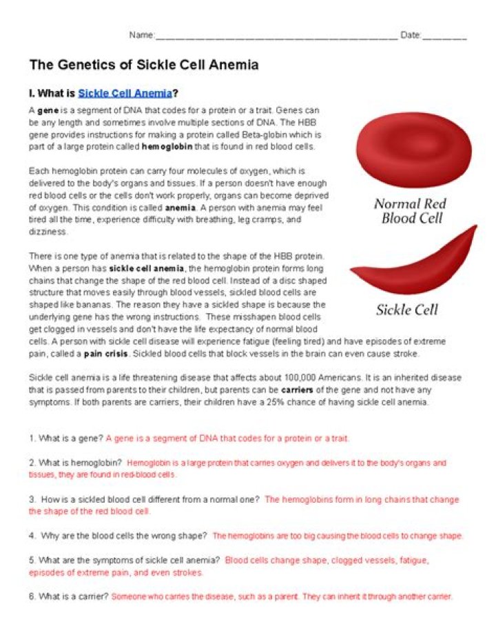 The Genetics of Sickle Cell Anemia: Expert Answer Key PDF