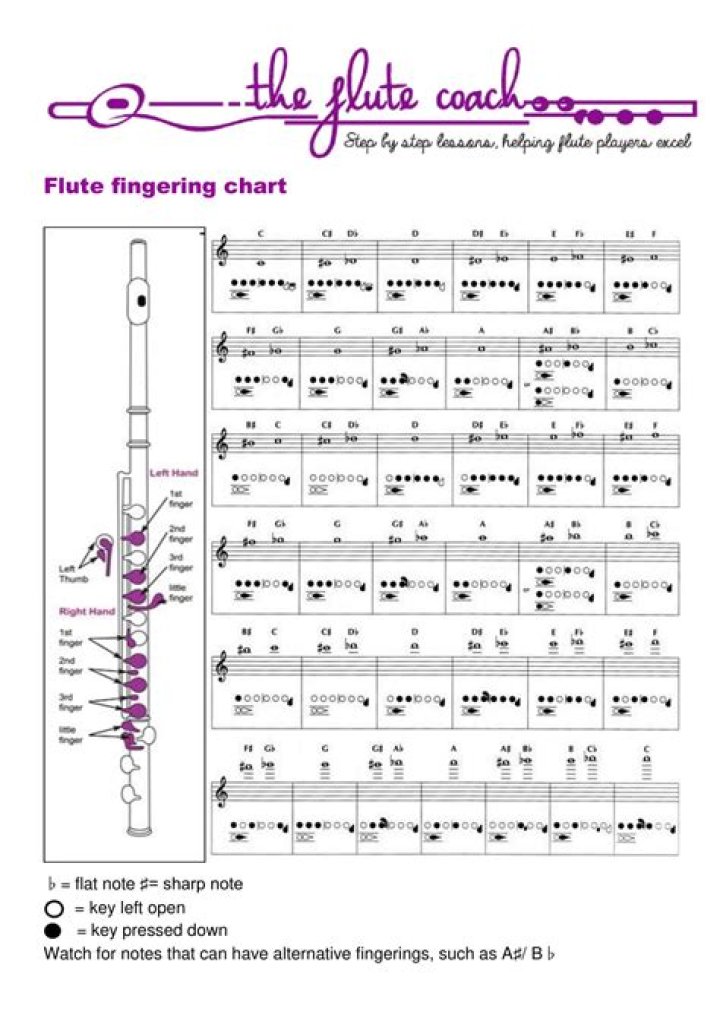 The Gift of the Flute Answer Key PDF: Solve & Master the Flute Lessons