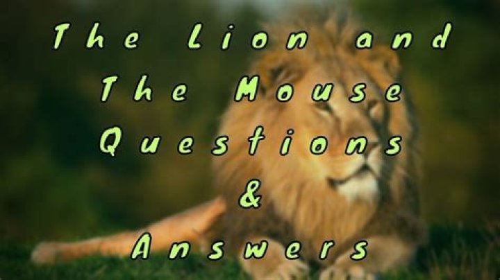 The Lion and the Mouse: Key Questions & Answers in PDF