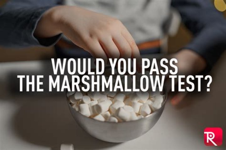 The Marshmallow Test: Free PDF Insights & Full Report