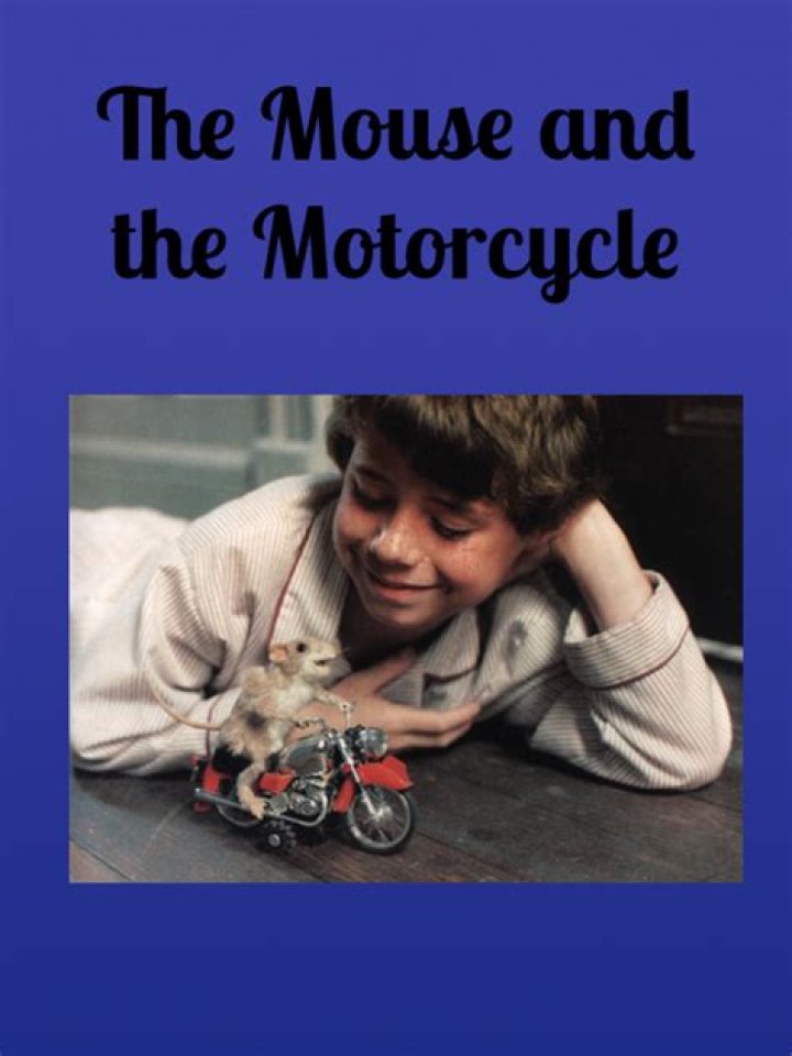 The Mouse and the Motorcycle Test PDF: A Mind-Bending Challenge