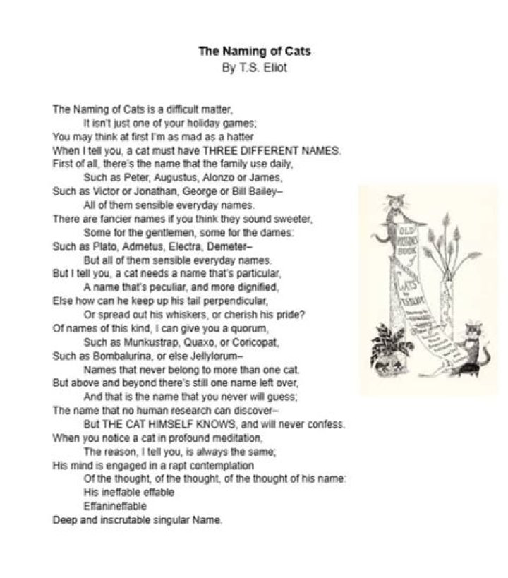 The Naming of Cats: Top Questions & Answers in PDF Format