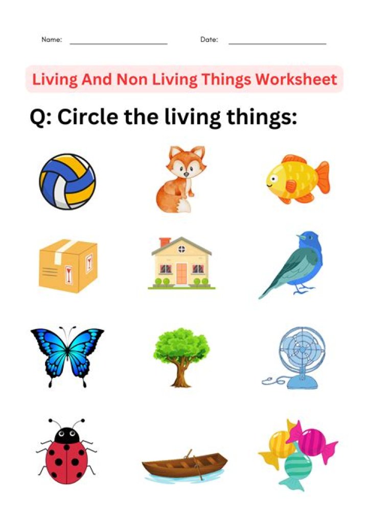 The One Thing Worksheet PDF: Simplify Your Goals Today