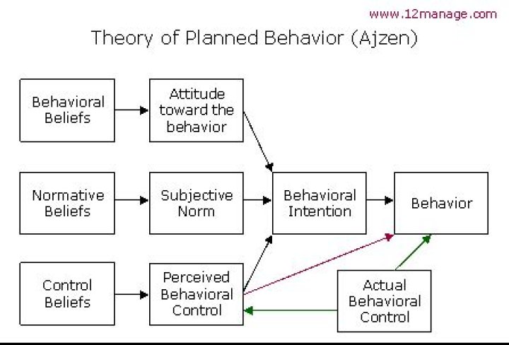 The Theory of Planned Behavior: Ajzen 1991 – Key Insights PDF