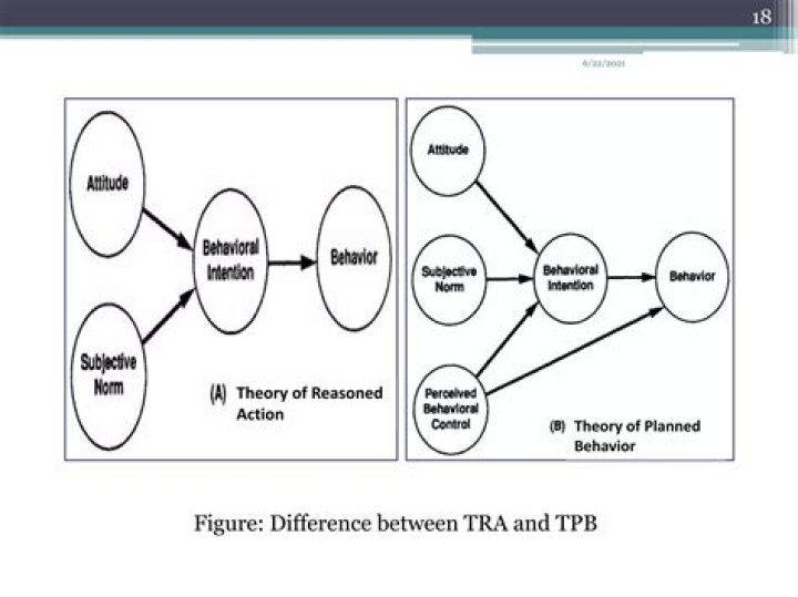 Theory of Reasoned Action and Planned Behavior: PDF Guide