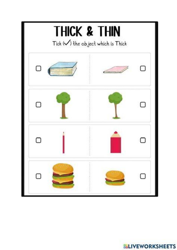 Thick and Thin Worksheet PDF – Perfect for Math & Learning