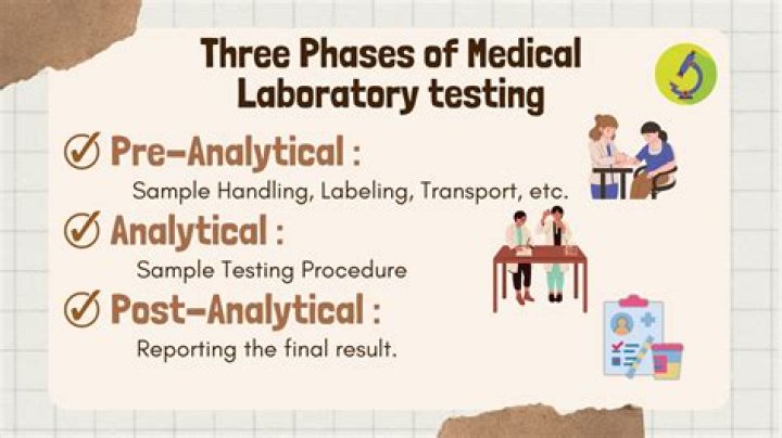 Three Phases of Laboratory Testing: A Comprehensive PDF Guide