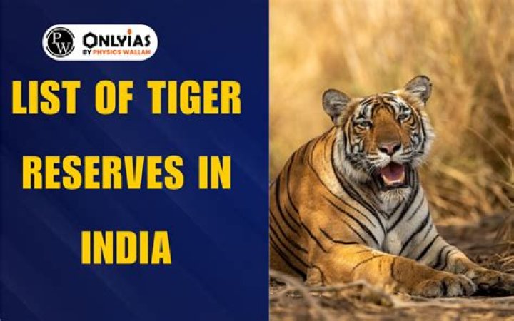 Tiger 21 Member List PDF Download