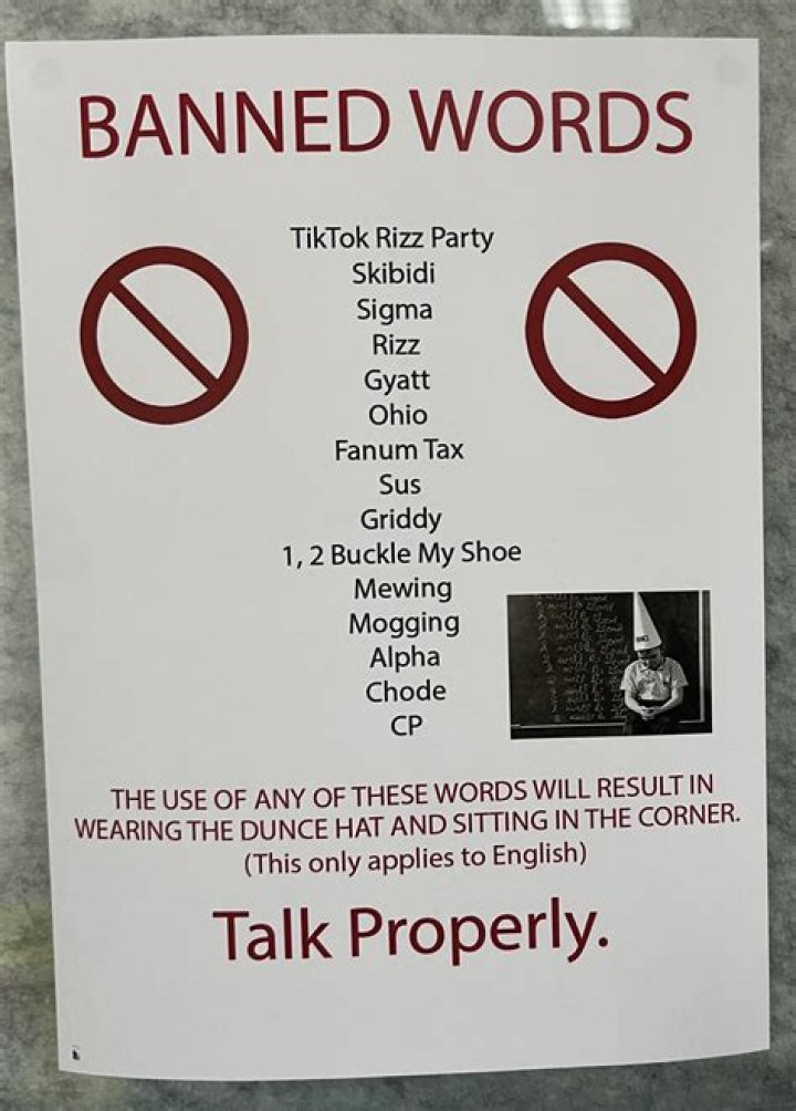 TikTok 2025 Banned Words List PDF – What’s Off-Limits