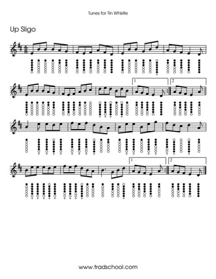 Tin Whistle Sheet Music PDF – Easy Download & Play