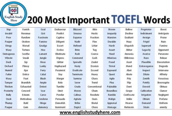 2023 Toefl Vocabulary List: Essential Words & Phrases PDF