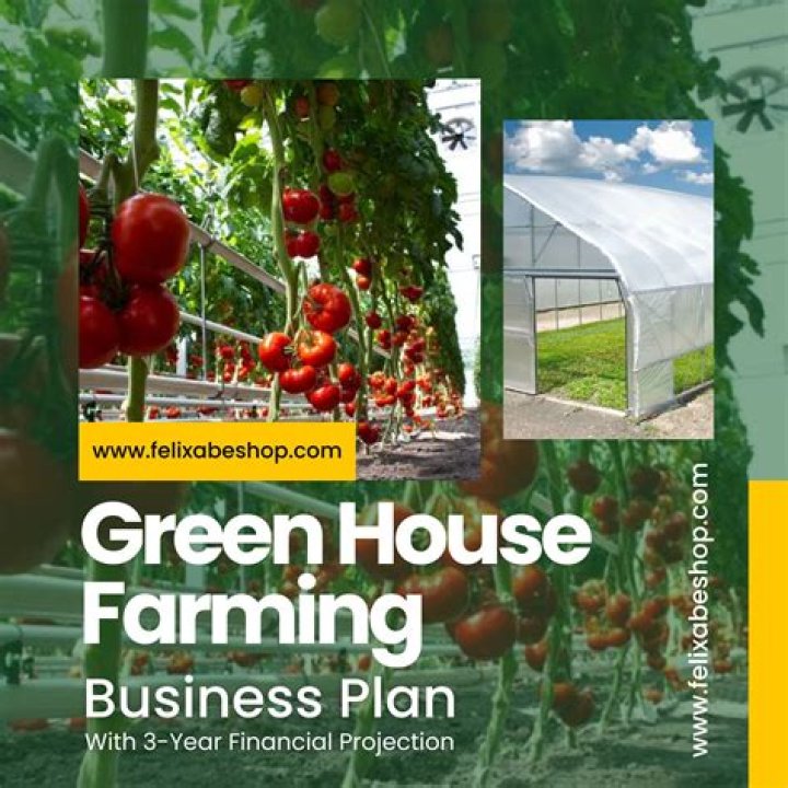 Tomato Greenhouse Business Plan PDF: Profitable Indoor Growing Guide