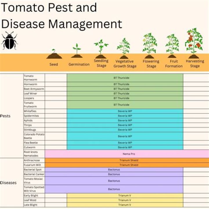 Tomato Pest and Disease Management PDF: Expert Guide to Protecting Your Crop
