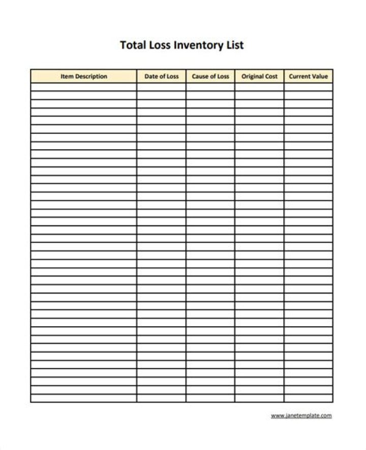 Total Loss Inventory List Template PDF – Download Now
